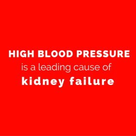 High blood pressure is one of the leading causes of kidney failure (1)